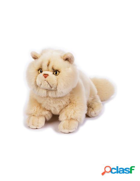 Chrystal gatto persiano my puppy