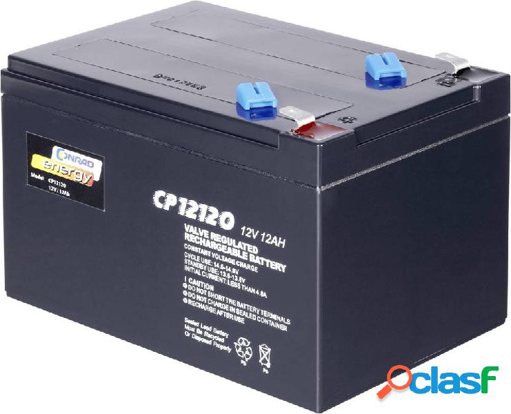 Conrad energy 12 V 12 Ah 250916 Batteria al piombo 12 V 12