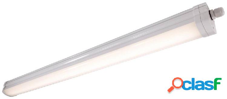 Deko Light Tri Proof Lampada impermeabile ERP: G (A - G) LED