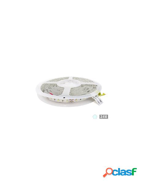 Ledlux - 24v bobina led 5 metri 300 smd 3528 bianco freddo