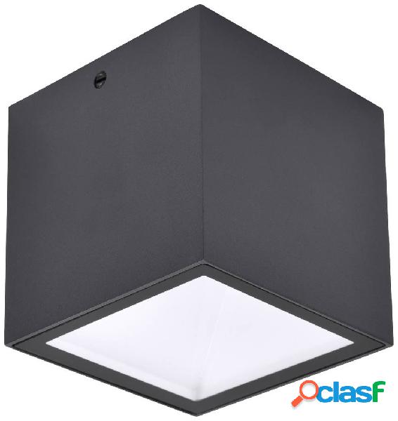 Lutec 6389101118 GEMINI Lampada LED a soffitto per esterni