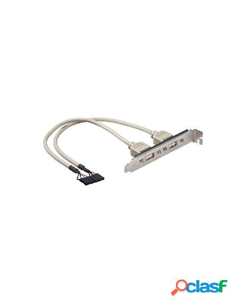 Manhattan - cavetto slot usb 2.0 2x 5pin