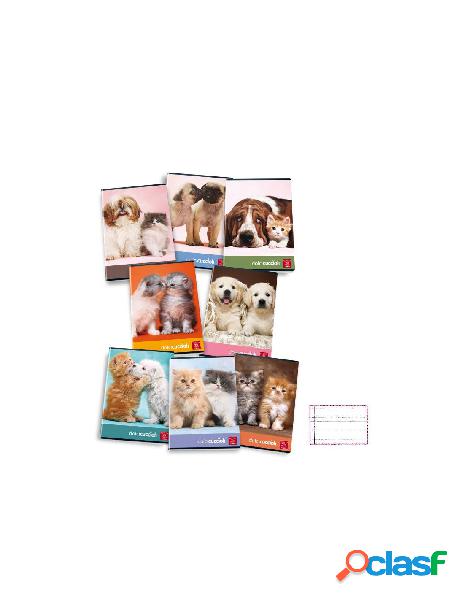 Maxi dolci cuccioli 42ff/sh