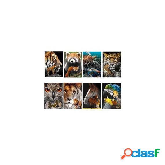 Maxiquaderno Animals 2023 - A4 - 5 mm - c/margine - 21 fogli