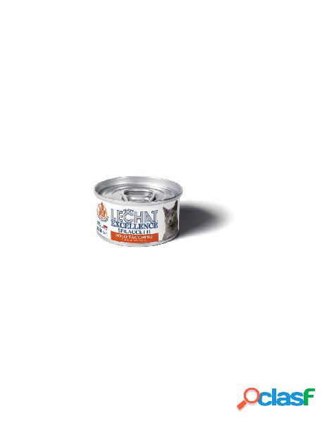 Monge - alimento monge 6080 lechat excellence