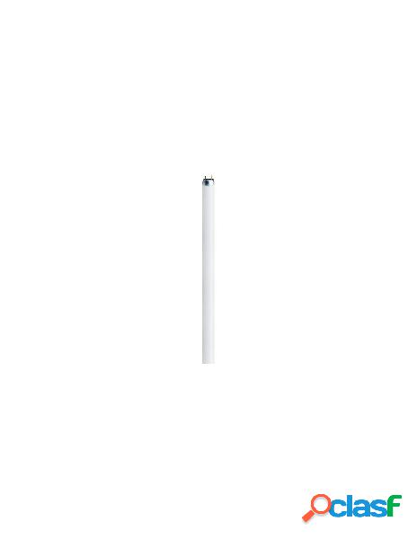 Osram - tubo neon osram t5 l13840sb