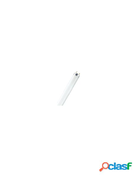 Osram - tubo neon osram t8