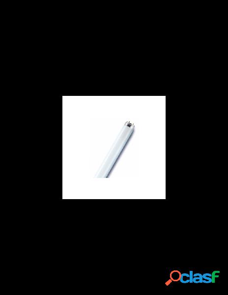 Osram - tubo neon osram t8 l18840