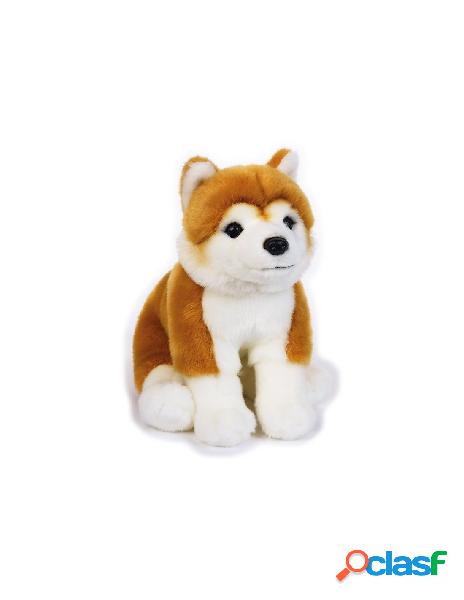 Shiro shiba inu my puppy