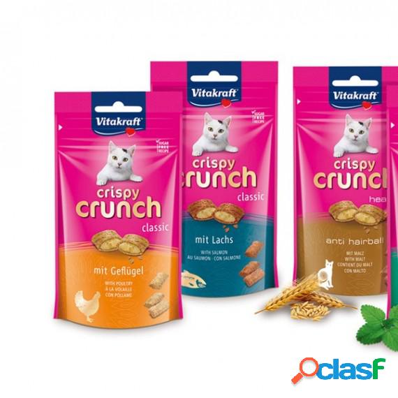 Snack Crispy Crunch Superfood - gusto salmone - 60 gr -