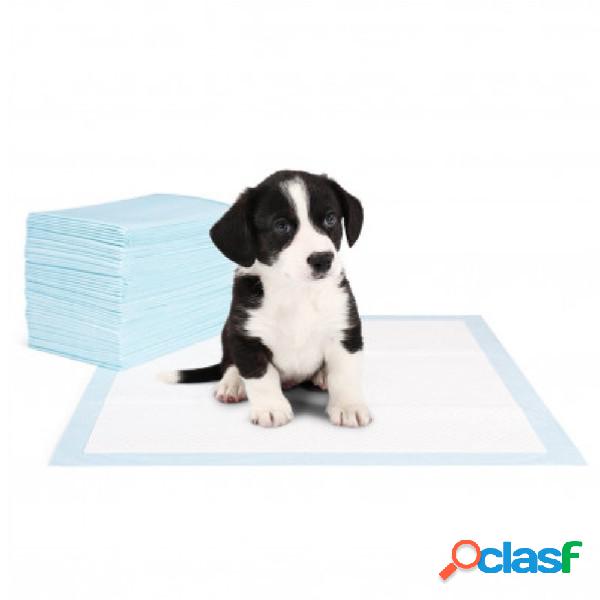 Trade Shop - Pack 40 Traversine Cani 60 X 40 Cm Nobleza