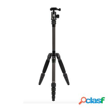 Traveler 5c