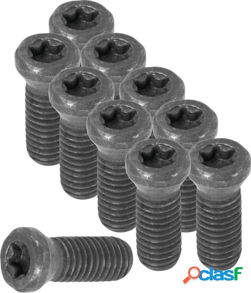 HOLEX - Set di viti con impronta Torx 10 pezzi