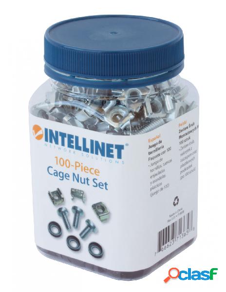 Intellinet - kit set 100 viti, 100 dadi e 100 rondelle per