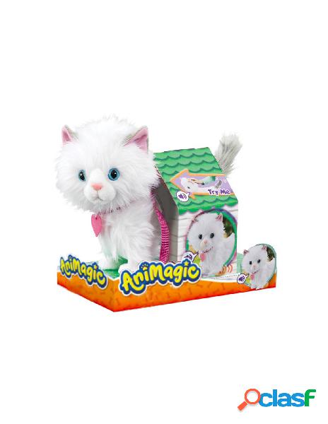 Mimi the cat