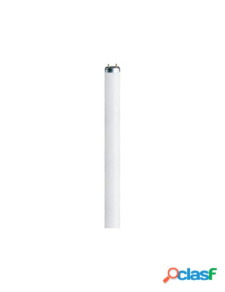 Osram - tubo neon osram neon t5 l 8w/840