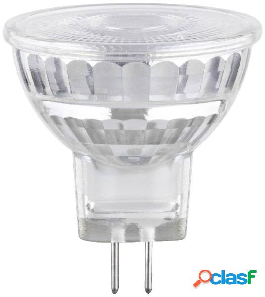 Paulmann 28978 LED (monocolore) ERP E (A - G) GU4 Riflettore