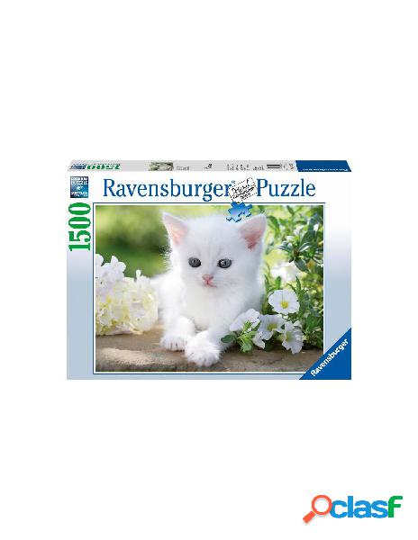 Puzzle 1500 pz gattino bianco