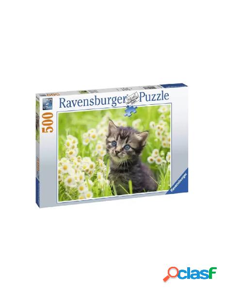 Puzzle 500 pz gattino nel prato