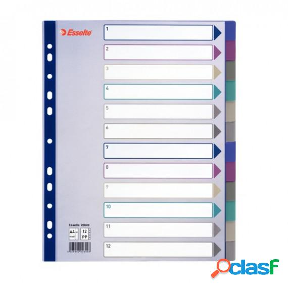 Separatore - 12 tasti - PP traslucido - A4 maxi - 24,5x29,7