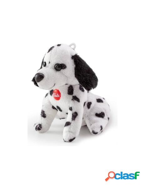 Sw col dalmata xxs