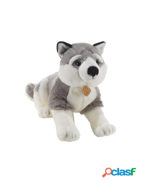 Tomsky husky siberiano l.50 cm