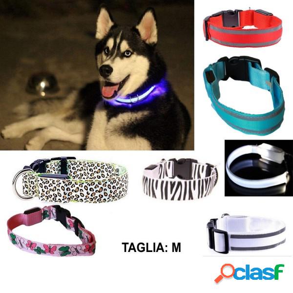 Trade Shop - Collare Per Cane Cani A Led Luminoso Sicurezza