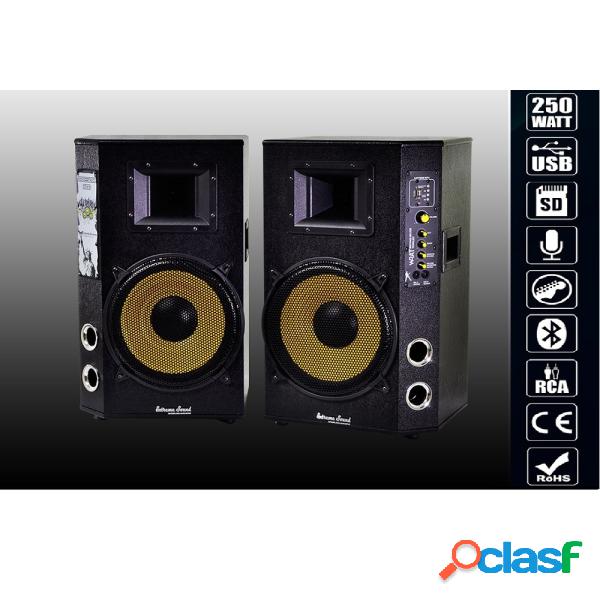 Trade Shop - Coppia Casse Audio Usb Bluetooth Per Karaoke Dj